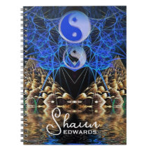 Yin Yang Fractal Vision