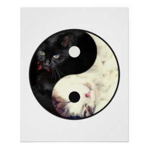 Yin Yang Katten Mozaïek Poster