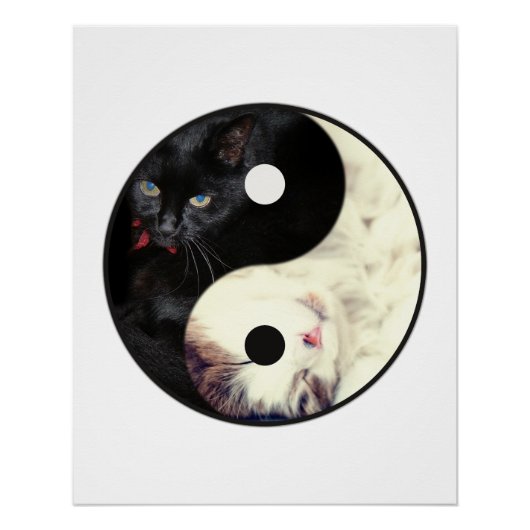 Yin Yang Katten Mozaïek Poster (Voorkant)