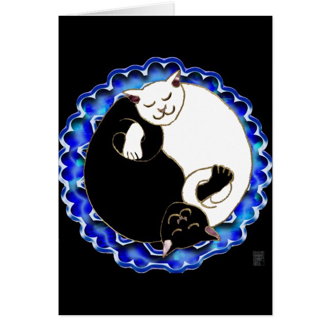 yin yang kittens (Voorkant)