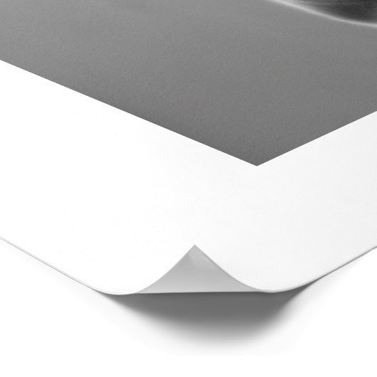 Yin Yang Master Poster (Hoek)