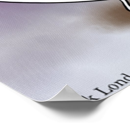 Yin & Yang ontmoeten Funny Zen Poster (Hoek)