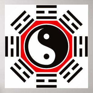 YIN & YANG POSTER