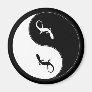 Yin Yang Salamander Magneet