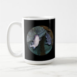 Yin Yang Vis Foto Koffiemok Nieuw