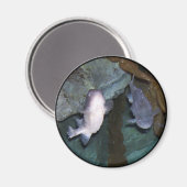 Yin Yang Vis Foto Magneet (Voorkant / Achterkant)