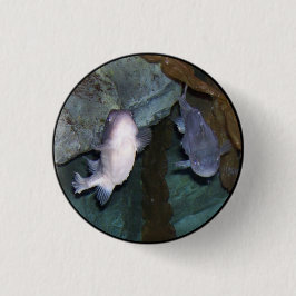 Yin Yang Vis Foto Ronde Button 3,2 Cm