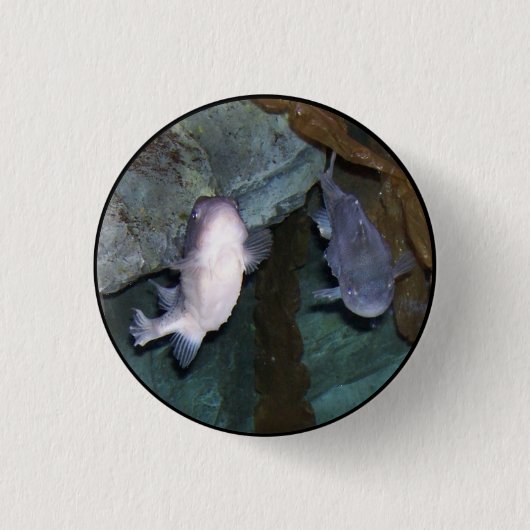 Yin Yang Vis Foto Ronde Button 3,2 Cm (Voorkant)
