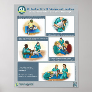 Yin's 10 principes van de omgang met honden poster