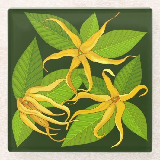 Ylang Ylang Exotic Scented Flowers Glazen Onderzetter (Voorkant)