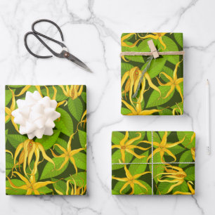 Ylang Ylang Exotic Scented Flowers Inpakpapier Vel