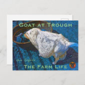 YNOTME VAN GOGHISH GOAT AT TROUGH2 BRIEFKAART (Voorkant / Achterkant)