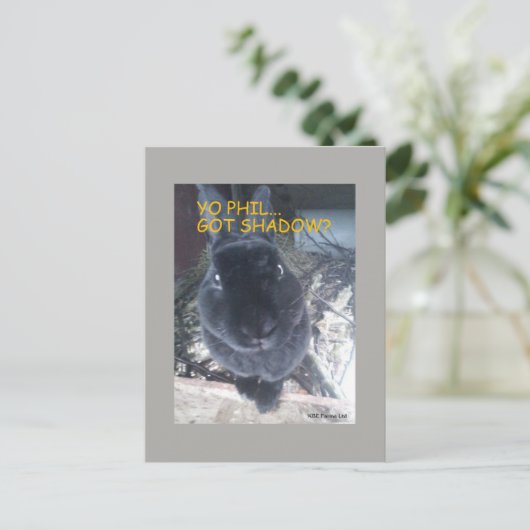 Yo Phil, ik heb schaduw - Briefkaart (Staand voorkant)