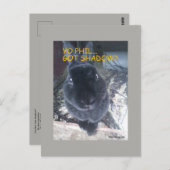 Yo Phil, ik heb schaduw - Briefkaart (Voorkant / Achterkant)