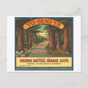 YO-SEMI-TE-etiket van fruitkratten Briefkaart