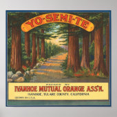 YO-SEMI-TE-etiket van  fruitkratten Poster (Voorkant)