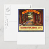 "Yo-Semi-Te" Oranje label Briefkaart (Voorkant / Achterkant)