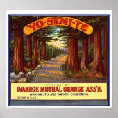 "Yo-Semi-Te" Oranje label Poster (Voorkant)