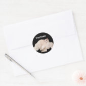 Yoctosec verlichting kat ronde sticker (Envelop)