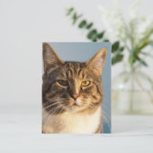 Yoda Briefkaart (Staand voorkant)