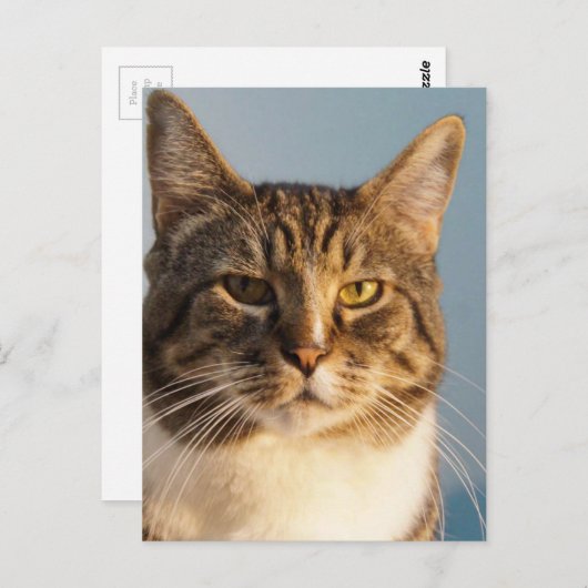 Yoda Briefkaart (Voorkant / Achterkant)