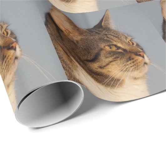 Yoda Cadeaupapier (Rol Hoek)