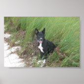 Yoda Poster (Voorkant)