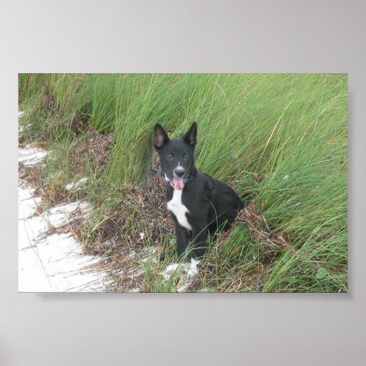 Yoda Poster (Voorkant)