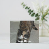 Yoga Calico Cat Briefkaart (Staand voorkant)