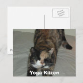 Yoga Calico Cat Briefkaart (Voorkant / Achterkant)