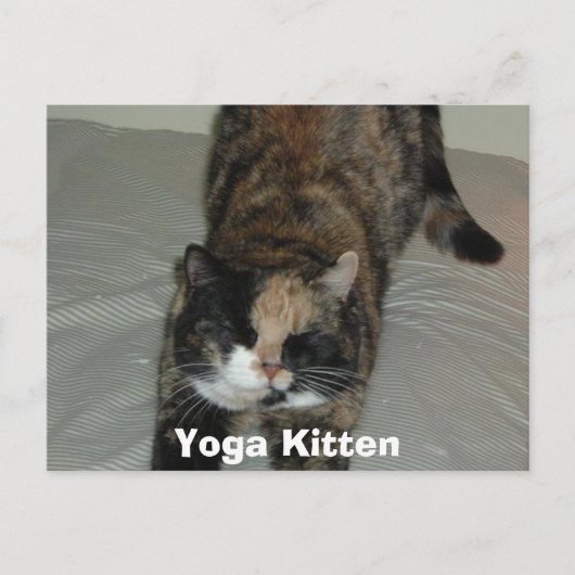 Yoga Calico Cat Briefkaart (Voorkant)