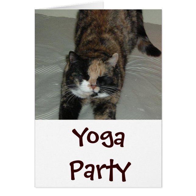Yoga Cat (Voorkant)