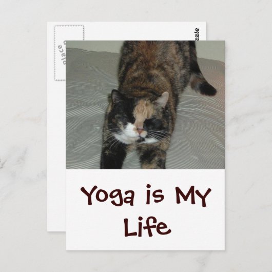 Yoga Cat Briefkaart (Voorkant / Achterkant)