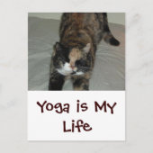 Yoga Cat Briefkaart (Voorkant)