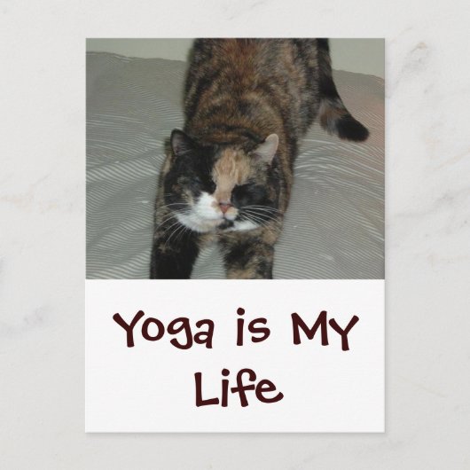 Yoga Cat Briefkaart (Voorkant)