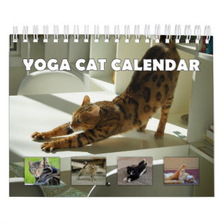 Yoga Cat Kalender