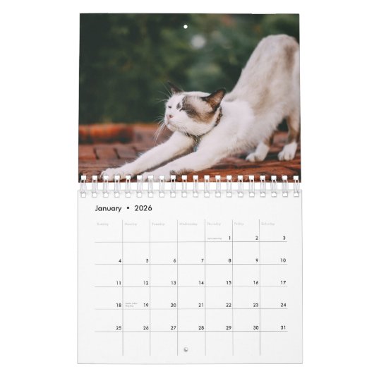Yoga Cat Kalender (Jan 2026)
