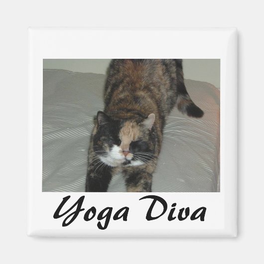 Yoga Cat Magneet (Voorkant)