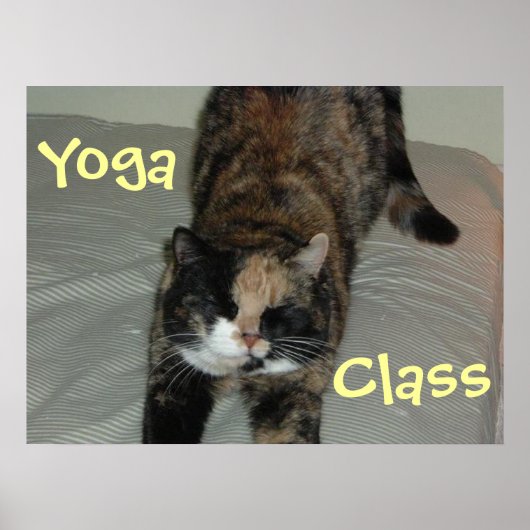 Yoga Cat Poster (Voorkant)