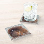 Yoga Eekhoorn Glas Onderzetter (Schuin)