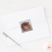 Yoga Eekhoorn Sticker (Envelop)