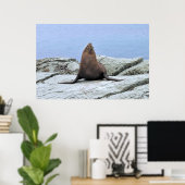 Yoga Fur Seal Poster (Thuiskantoor)