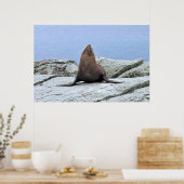 Yoga Fur Seal Poster (Keuken)