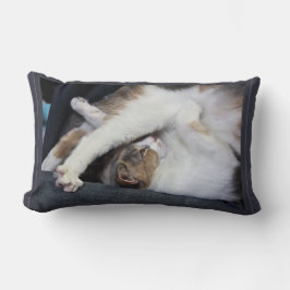 Yoga "Ik ben niet zo limber als vroeger..." Kilmer Kussen