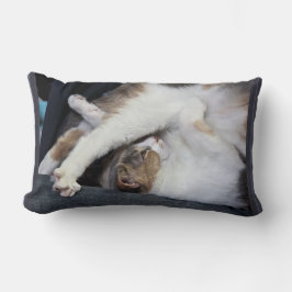 Yoga "Ik ben niet zo limber als vroeger..." Kilmer Kussen