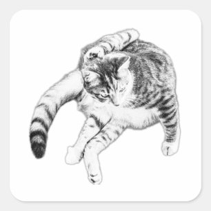Yoga, maar maak er een kat van vierkante sticker