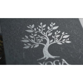 Yoga Meditatie Reiki Instructeur Zwarte Zilveren B Afsprakenkaartje
