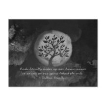 Yoga Meditation Instructor Black White Tree Quote