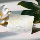 Yoga Meditation Instructor Class Pass Loyalty Kaar