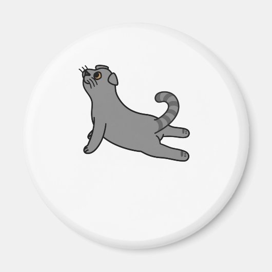 Yoga Pose Scottish Fold Cat Magneet (Voorkant)